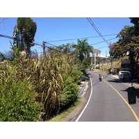 Picture Costa Rica Manuel Antonio 2015-03 429 - Lake Manuel Antonio