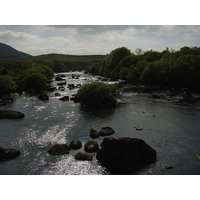 Picture Ireland Kerry Caragh Lake 2004-05 18 - Hot Season Caragh Lake