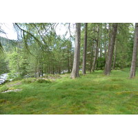 Picture United Kingdom Scotland Cairngorms National Park Invercauld Bridge 2011-07 8 - Restaurants Invercauld Bridge