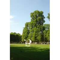 Picture France Paris Garden of Tuileries 2007-05 62 - French Restaurant Garden of Tuileries