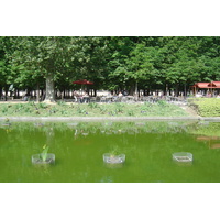 Picture France Paris Garden of Tuileries 2007-05 384 - Summer Garden of Tuileries