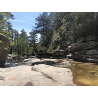 Picture France Corsica Aitone Forest 2021-06 57 - Monument Aitone Forest