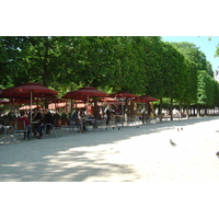 Picture France Paris Garden of Tuileries 2007-05 73 - Winter Garden of Tuileries