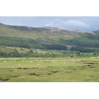 Picture United Kingdom Wester Ross 2011-07 148 - Hotel Wester Ross