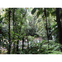 Picture Guadeloupe Cascade aux ecrevisses 2021-02 7 - Lakes Cascade aux ecrevisses