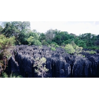 Picture Madagascar Tsingy 1999-10 2 - Land Tsingy