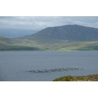 Picture United Kingdom Wester Ross 2011-07 116 - Spring Wester Ross