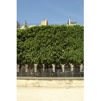 Picture France Paris Garden of Tuileries 2007-05 17 - Lake Garden of Tuileries