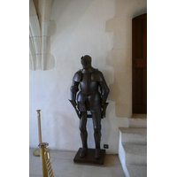 Picture France Amboise Amboise Castle 2008-04 11 - Lake Amboise Castle