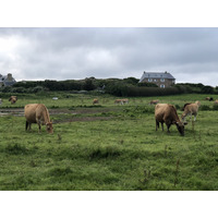 Picture France Brehat Island 2020-06 247 - Weather Brehat Island