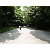 Picture Japan Tokyo Yoyogi Park 2010-06 15 - Waterfall Yoyogi Park