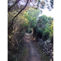 Picture Italy Sardinia Portobello di Gallura 2015-06 14 - Waterfalls Portobello di Gallura