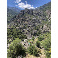 Picture France Corsica Aitone Forest 2021-06 60 - Savings Aitone Forest