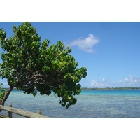 Picture Polynesia Bora Bora 2006-04 57 - Hot Season Bora Bora