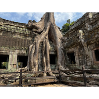 Picture Cambodia Siem Reap Ta Prohm 2023-01 89 - Lakes Ta Prohm