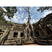 Picture Cambodia Siem Reap Ta Prohm 2023-01 104 - Cost Ta Prohm