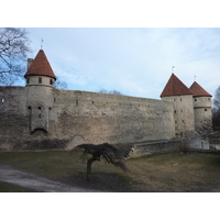 Picture Estonia Tallinn Old Tallinn 2009-04 23 - Resorts Old Tallinn