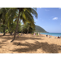 Picture Guadeloupe Grande Hanse Beach 2021-02 3 - Shopping Grande Hanse Beach