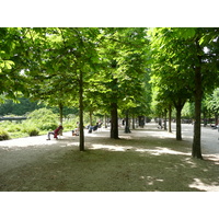 Picture France Paris Garden of Tuileries 2007-05 213 - Rain Season Garden of Tuileries