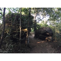 Picture Thailand Phu Hin Rong Kla National Park 2014-12 383 - Rooms Phu Hin Rong Kla National Park