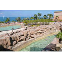 Picture United Arab Emirates Dubai Dubai Aquaventure 2009-01 11 - Hotel Pool Dubai Aquaventure