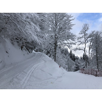 Picture France La Clusaz 2017-12 164 - Spring La Clusaz