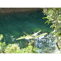 Picture New Caledonia Parc de la Riviere Bleue Le Grand Kaori 2010-05 6 - Rentals Le Grand Kaori