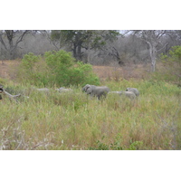 Picture South Africa Kruger National Park Sable River 2008-09 90 - Night Sable River