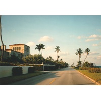 Picture United States Palm Beach 1991-11 3 - Hotel Pool Palm Beach