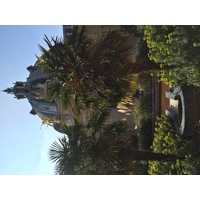 Picture France Paris Petit Palais 2016-03 28 - Resorts Petit Palais