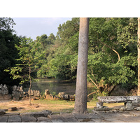 Picture Cambodia Siem Reap Banteay Kdei 2023-01 20 - Night Banteay Kdei