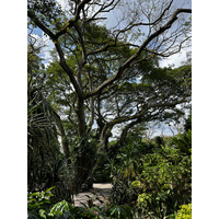 Picture Singapore Singapore Botanic Gardens 2023-01 31 - Monuments Singapore Botanic Gardens