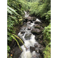 Picture Guadeloupe Carbet Falls 2021-02 2 - Winter Carbet Falls