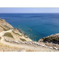 Picture Greece Amorgos 2014-07 317 - Hot Season Amorgos