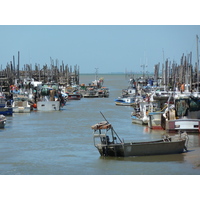 Picture France Noirmoutier 2010-07 19 - Hot Season Noirmoutier