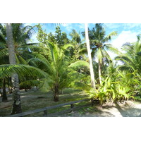 Picture Seychelles Anse Lazio 2011-10 100 - Hotel Pool Anse Lazio