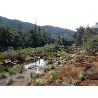 Picture New Caledonia Parc de la Riviere Bleue 2010-05 4 - Rentals Parc de la Riviere Bleue