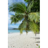 Picture Seychelles Anse Lazio 2011-10 130 - Hotel Pool Anse Lazio