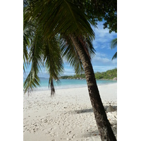 Picture Seychelles Anse Lazio 2011-10 50 - Price Anse Lazio