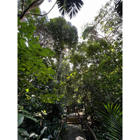 Picture Singapore Singapore Botanic Gardens 2023-01 56 - Resorts Singapore Botanic Gardens