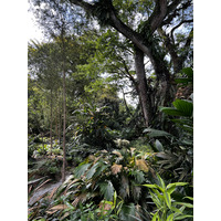 Picture Singapore Singapore Botanic Gardens 2023-01 97 - Monument Singapore Botanic Gardens