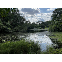 Picture Singapore Singapore Botanic Gardens 2023-01 4 - Walking Street Singapore Botanic Gardens