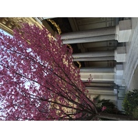 Picture France Paris Petit Palais 2016-03 6 - Waterfalls Petit Palais