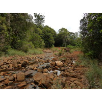 Picture New Caledonia Parc de la Riviere Bleue 2010-05 126 - Hot Season Parc de la Riviere Bleue