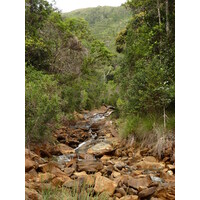 Picture New Caledonia Parc de la Riviere Bleue 2010-05 112 - Lands Parc de la Riviere Bleue