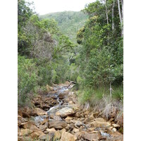 Picture New Caledonia Parc de la Riviere Bleue 2010-05 124 - Winter Parc de la Riviere Bleue