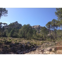 Picture France Corsica L'ospedale Forest 2012-09 38 - Waterfalls L'ospedale Forest