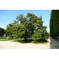 Picture France Paris Jardin des Plantes 2007-08 217 - Lake Jardin des Plantes