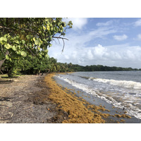 Picture Guadeloupe Viard Beach 2021-02 2 - Transport Viard Beach