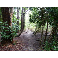 Picture New Caledonia Ile des pins Oro Bay 2010-05 16 - Street Oro Bay